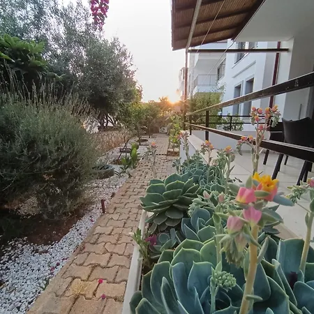 Olive 1 Διαμέρισμα *